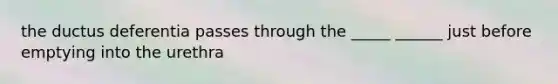 the ductus deferentia passes through the _____ ______ just before emptying into the urethra