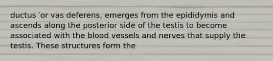 ductus ′or vas deferens, emerges from the epididymis and ascends along the posterior side of the testis to become associated with <a href='https://www.questionai.com/knowledge/k7oXMfj7lk-the-blood' class='anchor-knowledge'>the blood</a> vessels and nerves that supply the testis. These structures form the