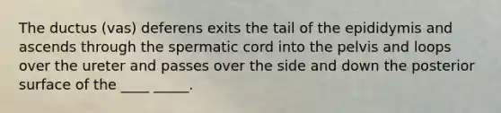 The ductus (vas) deferens exits the tail of the epididymis and ascends through the spermatic cord into the pelvis and loops over the ureter and passes over the side and down the posterior surface of the ____ _____.