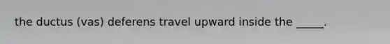 the ductus (vas) deferens travel upward inside the _____.