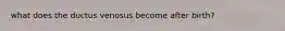 what does the ductus venosus become after birth?