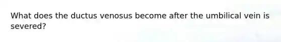 What does the ductus venosus become after the umbilical vein is severed?