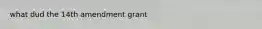 what dud the 14th amendment grant