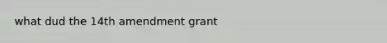 what dud the 14th amendment grant