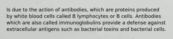 Is due to the action of antibodies, which are proteins produced by white blood cells called B lymphocytes or B cells. Antibodies which are also called immunoglobulins provide a defense against extracellular antigens such as bacterial toxins and bacterial cells.