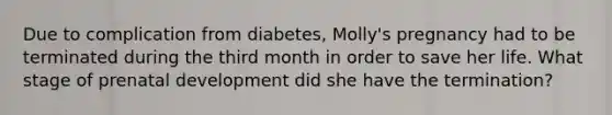 Due to complication from diabetes, Molly's pregnancy had to be terminated during the third month in order to save her life. What stage of prenatal development did she have the termination?