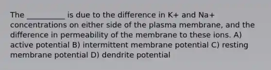 The __________ is due to the difference in K+ and Na+ concentrations on either side of the plasma membrane, and the difference in permeability of the membrane to these ions. A) active potential B) intermittent membrane potential C) resting membrane potential D) dendrite potential