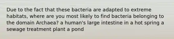 Due to the fact that these bacteria are adapted to extreme habitats, where are you most likely to find bacteria belonging to the domain Archaea? a human's large intestine in a hot spring a sewage treatment plant a pond