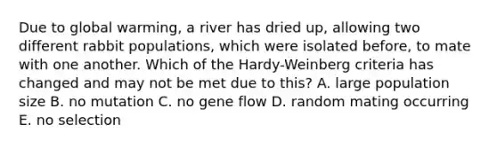 Due to global warming, a river has dried up, allowing two different rabbit populations, which were isolated before, to mate with one another. Which of the Hardy-Weinberg criteria has changed and may not be met due to this? A. large population size B. no mutation C. no gene flow D. random mating occurring E. no selection