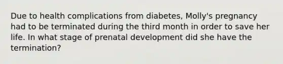 Due to health complications from diabetes, Molly's pregnancy had to be terminated during the third month in order to save her life. In what stage of prenatal development did she have the termination?