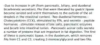 -Due to increase in pH (from pancreatic, biliary, and duodenal bicarbonate secretion), FAs that were liberated by gastric lipase become ionized and orient themselves to the outside of the oil droplets in the intestinal content. -Two duodenal hormones - Cholecystokinin (CCK), stimulated by FFA, and secretin - peptide hormones - stimulate release of bile salts, pancreatic enzymes and bicarb into intestinal lumen. -Pancreatic acinar cells secrete a number of proteins that are important in fat digestion. The first of these is pancreatic lipase, in the duodenum, which removes FAs from C1 and C3, creating 2-monoacylglycerol and two FAs.