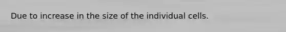 Due to increase in the size of the individual cells.