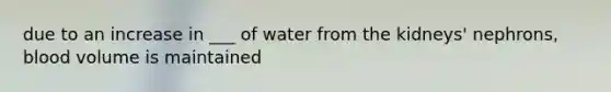 due to an increase in ___ of water from the kidneys' nephrons, blood volume is maintained