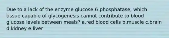 Due to a lack of the enzyme glucose-6-phosphatase, which tissue capable of glycogenesis cannot contribute to blood glucose levels between meals? a.red blood cells b.muscle c.brain d.kidney e.liver