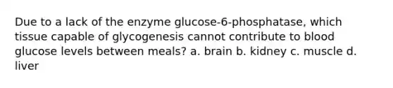 Due to a lack of the enzyme glucose-6-phosphatase, which tissue capable of glycogenesis cannot contribute to blood glucose levels between meals? a. brain b. kidney c. muscle d. liver