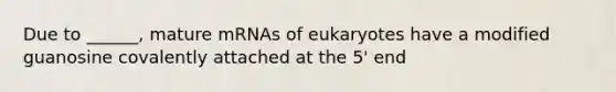 Due to ______, mature mRNAs of eukaryotes have a modified guanosine covalently attached at the 5' end