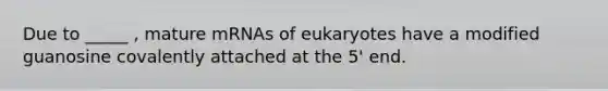 Due to _____ , mature mRNAs of eukaryotes have a modified guanosine covalently attached at the 5' end.