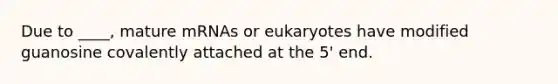 Due to ____, mature mRNAs or eukaryotes have modified guanosine covalently attached at the 5' end.