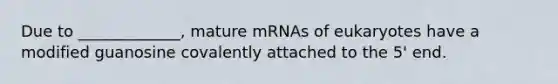 Due to _____________, mature mRNAs of eukaryotes have a modified guanosine covalently attached to the 5' end.