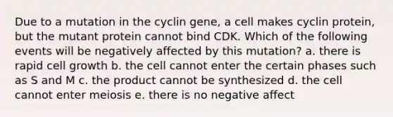 Due to a mutation in the cyclin gene, a cell makes cyclin protein, but the mutant protein cannot bind CDK. Which of the following events will be negatively affected by this mutation? a. there is rapid cell growth b. the cell cannot enter the certain phases such as S and M c. the product cannot be synthesized d. the cell cannot enter meiosis e. there is no negative affect