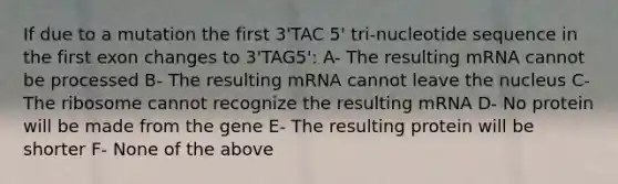 If due to a mutation the first 3'TAC 5' tri-nucleotide sequence in the first exon changes to 3'TAG5': A- The resulting mRNA cannot be processed B- The resulting mRNA cannot leave the nucleus C- The ribosome cannot recognize the resulting mRNA D- No protein will be made from the gene E- The resulting protein will be shorter F- None of the above