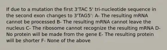 If due to a mutation the first 3'TAC 5' tri-nucleotide sequence in the second exon changes to 3'TAG5': A- The resulting mRNA cannot be processed B- The resulting mRNA cannot leave the nucleus C- The ribosome cannot recognize the resulting mRNA D- No protein will be made from the gene E- The resulting protein will be shorter F- None of the above