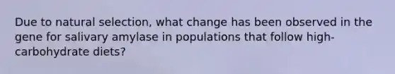 Due to natural selection, what change has been observed in the gene for salivary amylase in populations that follow high-carbohydrate diets?