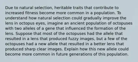 Due to natural selection, heritable traits that contribute to increased fitness become more common in a population. To understand how natural selection could gradually improve the lens in octopus eyes, imagine an ancient population of octopuses with two alleles of a gene that influenced the formation of the lens. Suppose that most of the octopuses had the allele that resulted in a lens that produced fuzzy images, but a few of the octopuses had a new allele that resulted in a better lens that produced sharp clear images. Explain how this new allele could become more common in future generations of this population.