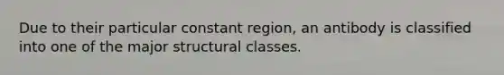 Due to their particular constant region, an antibody is classified into one of the major structural classes.