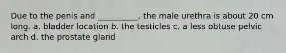 Due to the penis and __________, the male urethra is about 20 cm long. a. bladder location b. the testicles c. a less obtuse pelvic arch d. the prostate gland