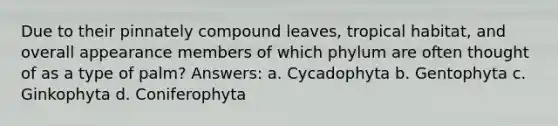 Due to their pinnately compound leaves, tropical habitat, and overall appearance members of which phylum are often thought of as a type of palm? Answers: a. Cycadophyta b. Gentophyta c. Ginkophyta d. Coniferophyta