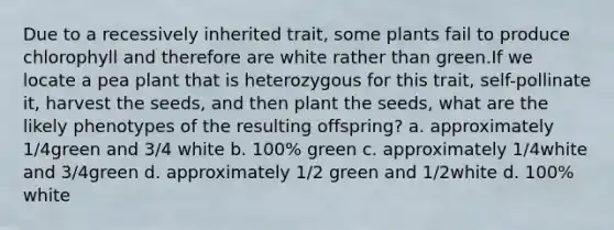 Due to a recessively inherited trait, some plants fail to produce chlorophyll and therefore are white rather than green.If we locate a pea plant that is heterozygous for this trait, self-pollinate it, harvest the seeds, and then plant the seeds, what are the likely phenotypes of the resulting offspring? a. approximately 1/4green and 3/4 white b. 100% green c. approximately 1/4white and 3/4green d. approximately 1/2 green and 1/2white d. 100% white