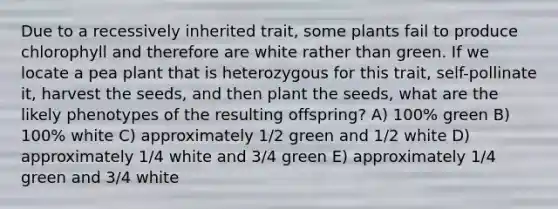 Due to a recessively inherited trait, some plants fail to produce chlorophyll and therefore are white rather than green. If we locate a pea plant that is heterozygous for this trait, self-pollinate it, harvest the seeds, and then plant the seeds, what are the likely phenotypes of the resulting offspring? A) 100% green B) 100% white C) approximately 1/2 green and 1/2 white D) approximately 1/4 white and 3/4 green E) approximately 1/4 green and 3/4 white