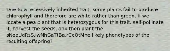 Due to a recessively inherited trait, some plants fail to produce chlorophyll and therefore are white rather than green. If we locate a pea plant that is heterozygous for this trait, self-pollinate it, harvest the seeds, and then plant the sNeeUdRsS,IwNhGaTtBa.rCeOtMhe likely phenotypes of the resulting offspring?