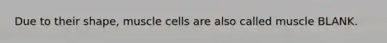 Due to their shape, muscle cells are also called muscle BLANK.