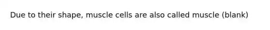 Due to their shape, muscle cells are also called muscle (blank)