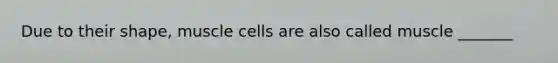 Due to their shape, muscle cells are also called muscle _______