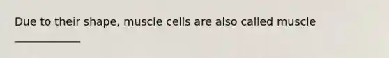 Due to their shape, muscle cells are also called muscle ____________