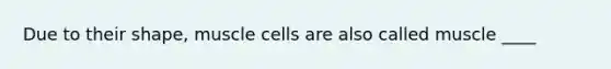 Due to their shape, muscle cells are also called muscle ____