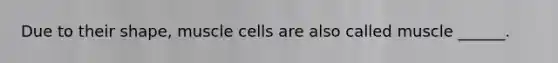 Due to their shape, muscle cells are also called muscle ______.
