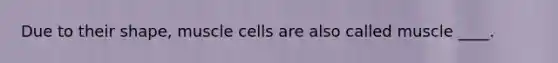 Due to their shape, muscle cells are also called muscle ____.