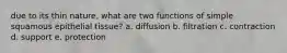 due to its thin nature, what are two functions of simple squamous epithelial tissue? a. diffusion b. filtration c. contraction d. support e. protection