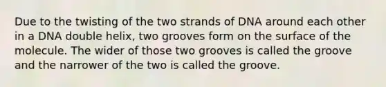 Due to the twisting of the two strands of DNA around each other in a DNA double helix, two grooves form on the surface of the molecule. The wider of those two grooves is called the groove and the narrower of the two is called the groove.