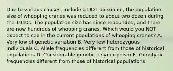 Due to various causes, including DDT poisoning, the population size of whooping cranes was reduced to about two dozen during the 1940s. The population size has since rebounded, and there are now hundreds of whooping cranes. Which would you NOT expect to see in the current populations of whooping cranes? A. Very low of genetic variation B. Very few heterozygous individuals C. Allele frequencies different from those of historical populations D. Considerable genetic polymorphism E. Genotypic frequencies different from those of historical populations