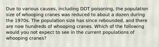 Due to various causes, including DDT poisoning, the population size of whooping cranes was reduced to about a dozen during the 1970s. The population size has since rebounded, and there are now hundreds of whooping cranes. Which of the following would you not expect to see in the current populations of whooping cranes?