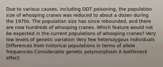 Due to various causes, including DDT poisoning, the population size of whooping cranes was reduced to about a dozen during the 1970s. The population size has since rebounded, and there are now hundreds of whooping cranes. Which feature would not be expected in the current populations of whooping cranes? Very low levels of genetic variation Very few heterozygous individuals Differences from historical populations in terms of allele frequencies Considerable genetic polymorphism A bottleneck effect