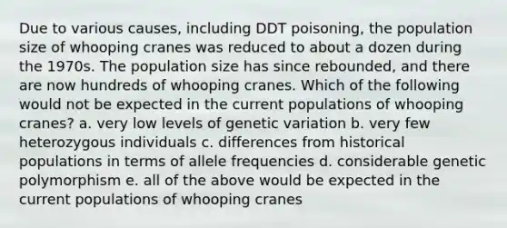 Due to various causes, including DDT poisoning, the population size of whooping cranes was reduced to about a dozen during the 1970s. The population size has since rebounded, and there are now hundreds of whooping cranes. Which of the following would not be expected in the current populations of whooping cranes? a. very low levels of genetic variation b. very few heterozygous individuals c. differences from historical populations in terms of allele frequencies d. considerable genetic polymorphism e. all of the above would be expected in the current populations of whooping cranes