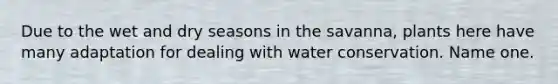 Due to the wet and dry seasons in the savanna, plants here have many adaptation for dealing with water conservation. Name one.