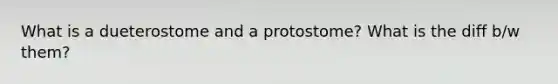 What is a dueterostome and a protostome? What is the diff b/w them?