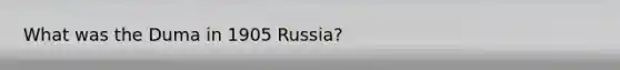 What was the Duma in 1905 Russia?